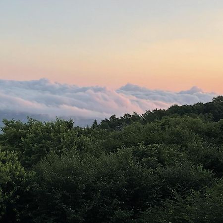 Southcrest Overlook By Vci Real Estate Services 비치 마운틴 외부 사진